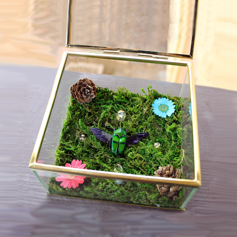 Display and shadow boxes