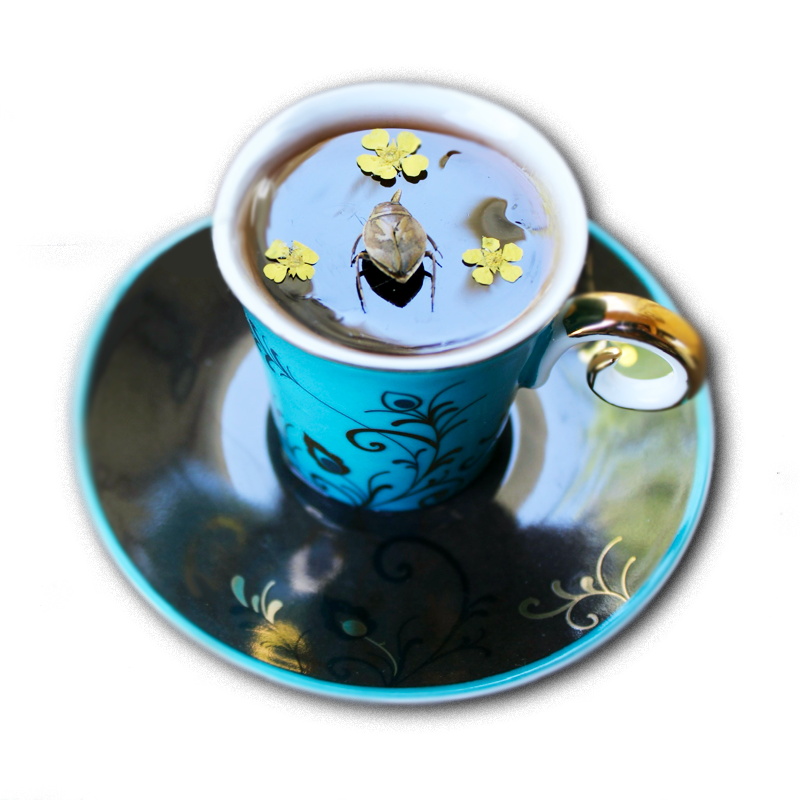 Teacup art