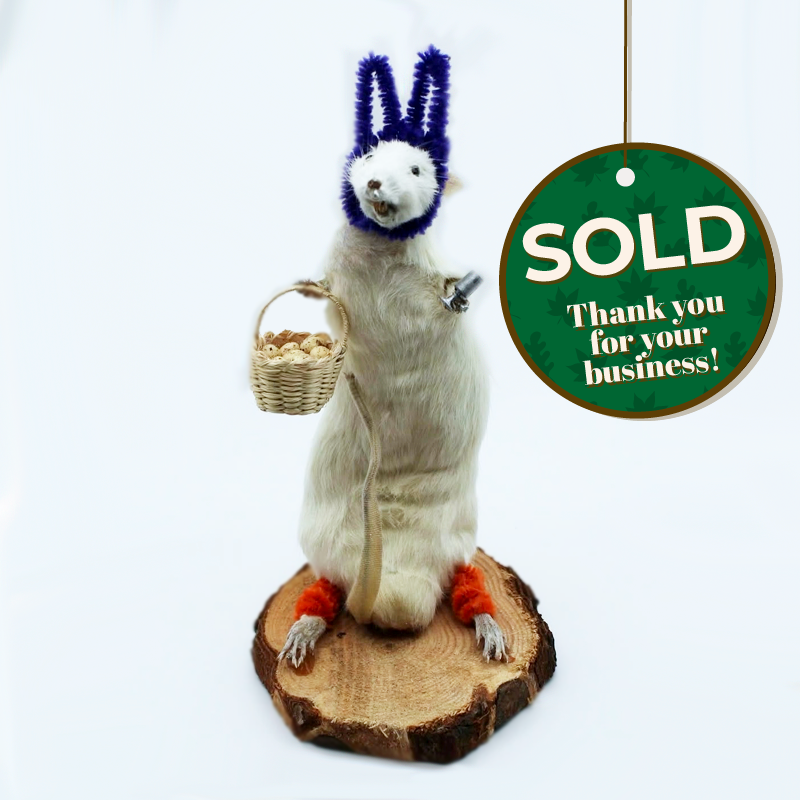 Easter bunny rat with basket in hand with a sip of lemonade
